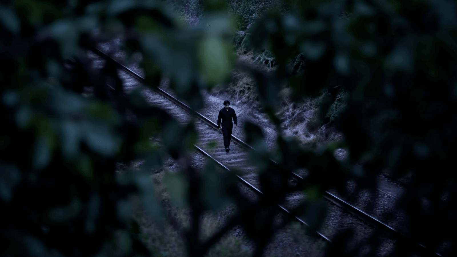 KAiDD walking along railway tracks, framed through dark foliage